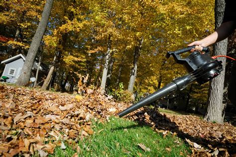 The Enchanted Garden: How Leaf Blower Revolution is Transforming Landscapes